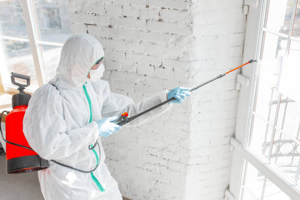 Best Industrial Mold Remediation  in USA